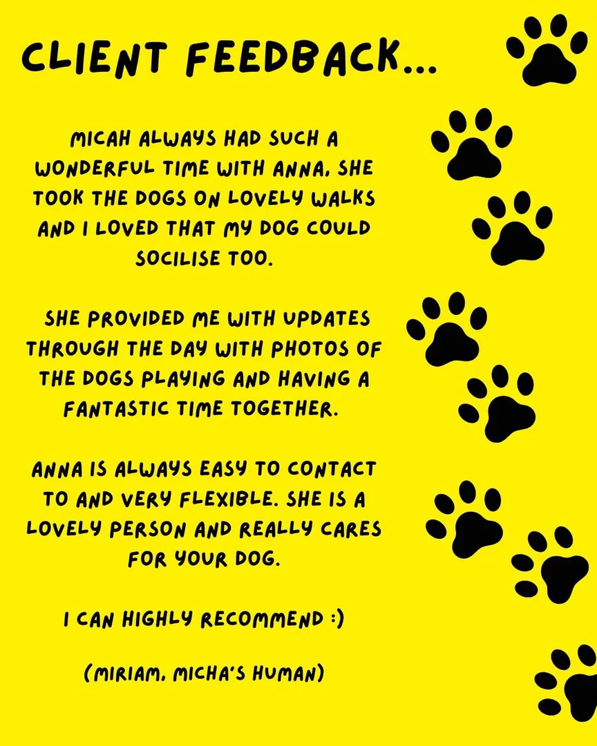 Customer testimonial